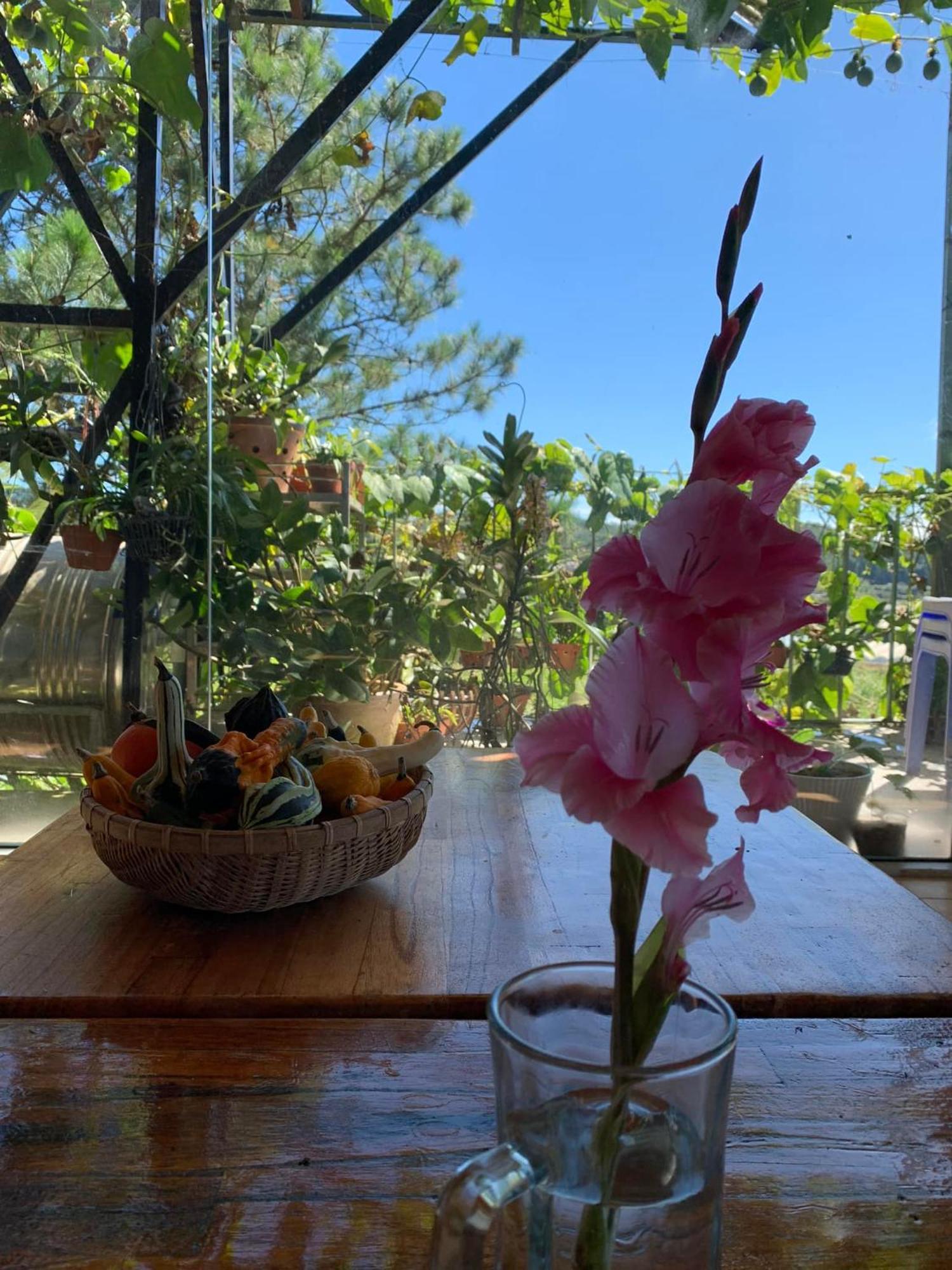 Vuon Cua Me Bed & Breakfast Да Лат Екстериор снимка